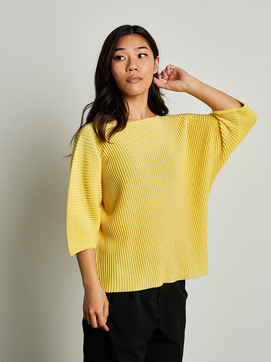 Japanese Paper Optical Knit Top (W) – Goldwin America