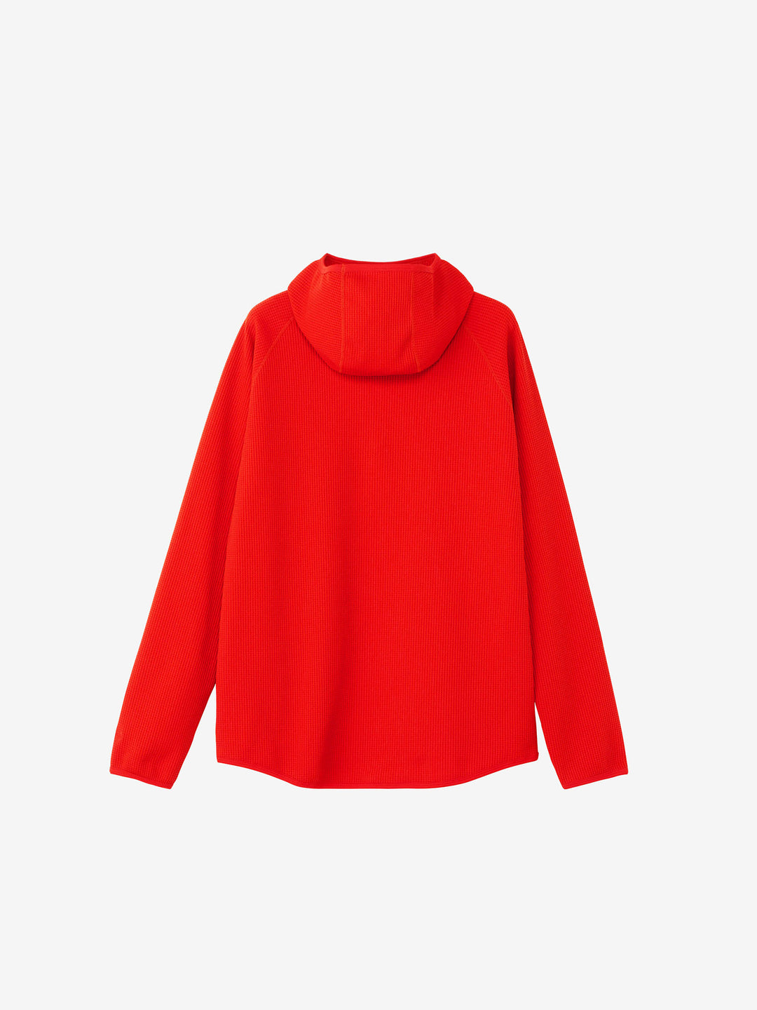 Black WF Light Long Sleeve Hoodie by Goldwin on Sale