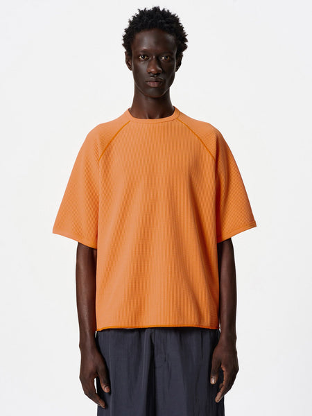 WF Light T-shirt