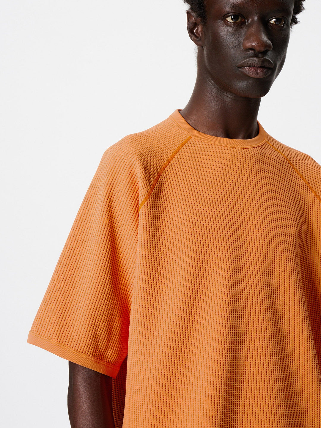 WF Light T-shirt – Goldwin America