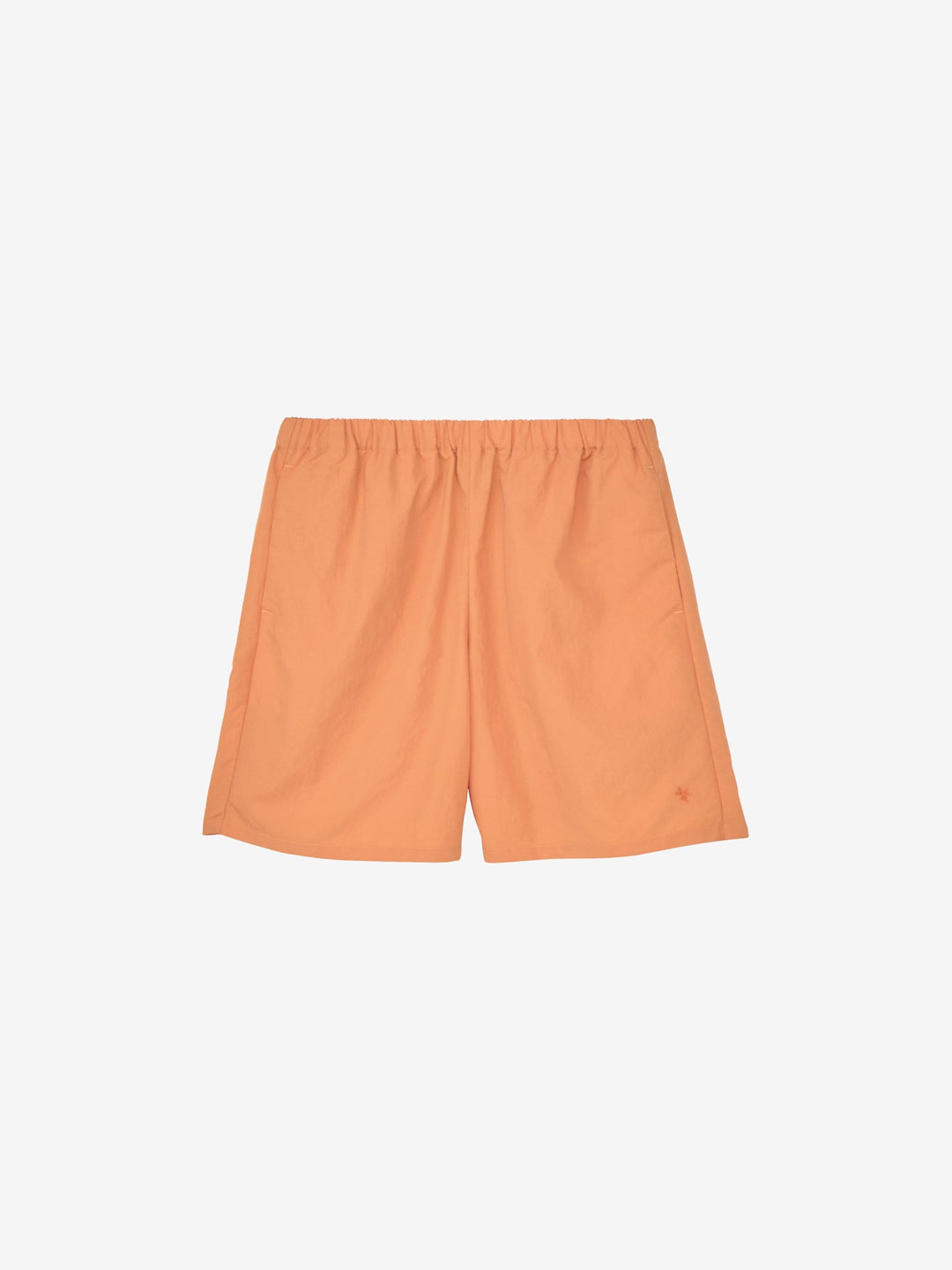 Nylon Shorts – Goldwin America